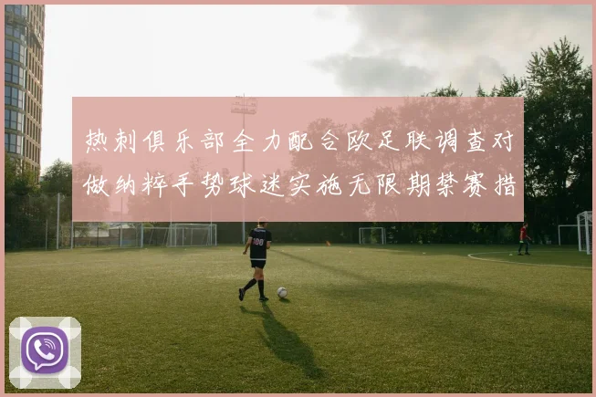 热刺俱乐部全力配合欧足联调查对做纳粹手势球迷实施无限期禁赛措施