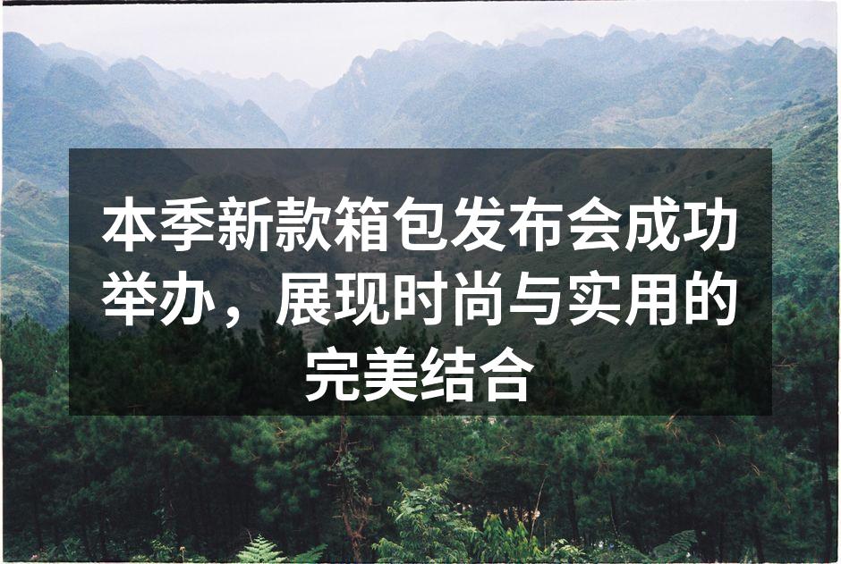 发布会现场气氛热烈